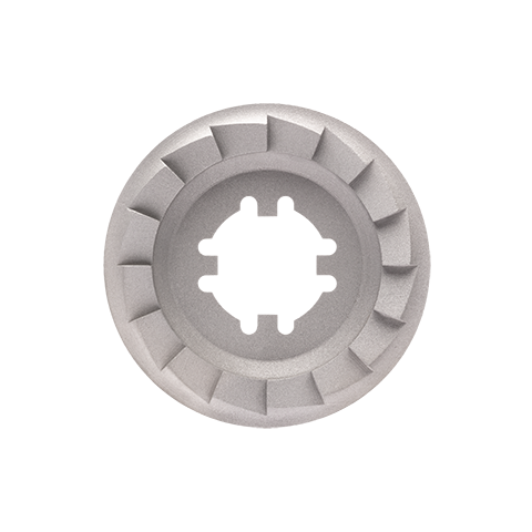 Clutch Plate