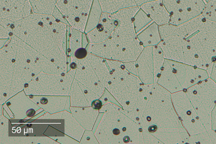 Nickel-Free Austenitic Stainless Steel